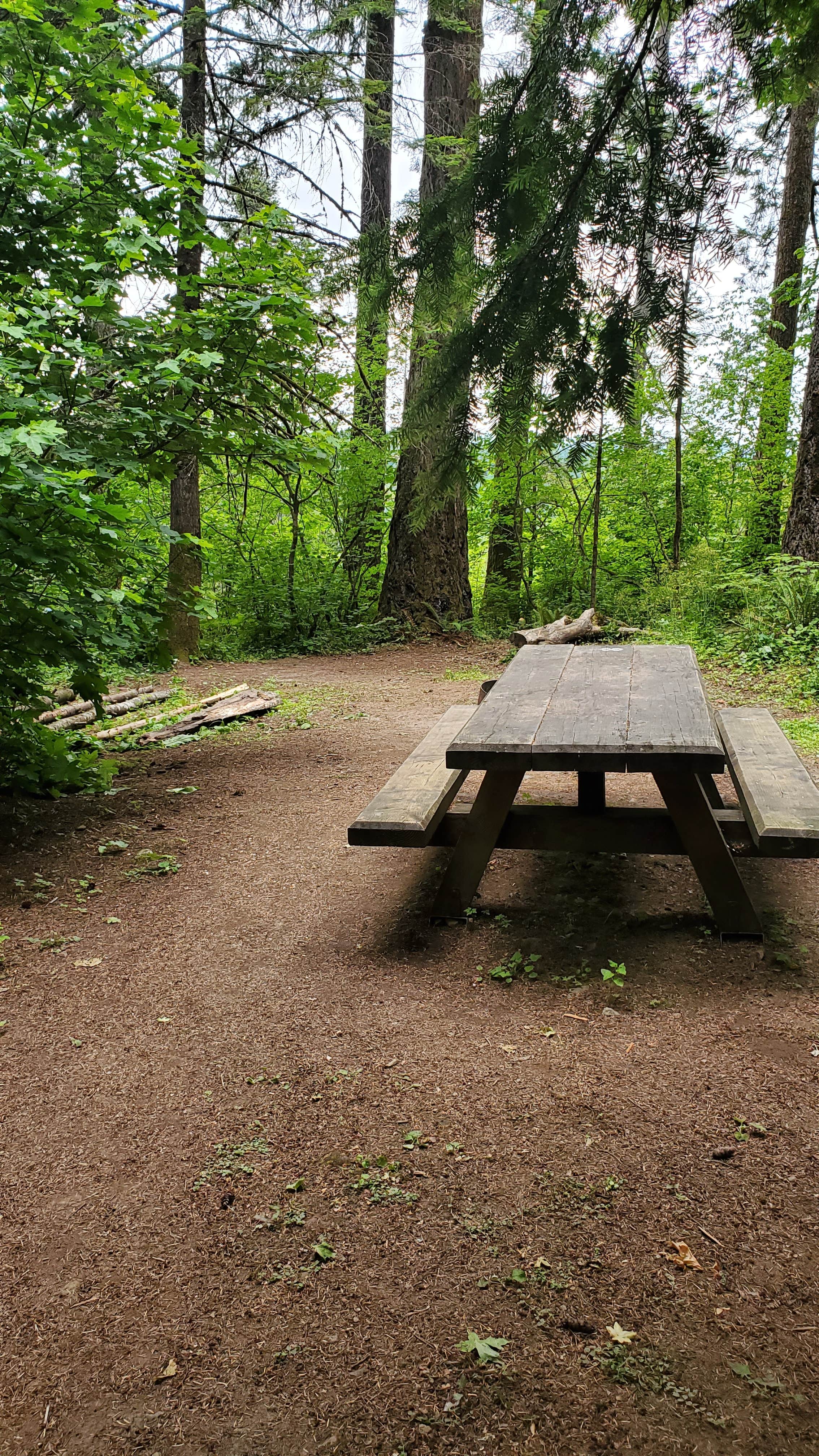 Camper-submitted photo at Eagle Creek Campground near Carson, WA
