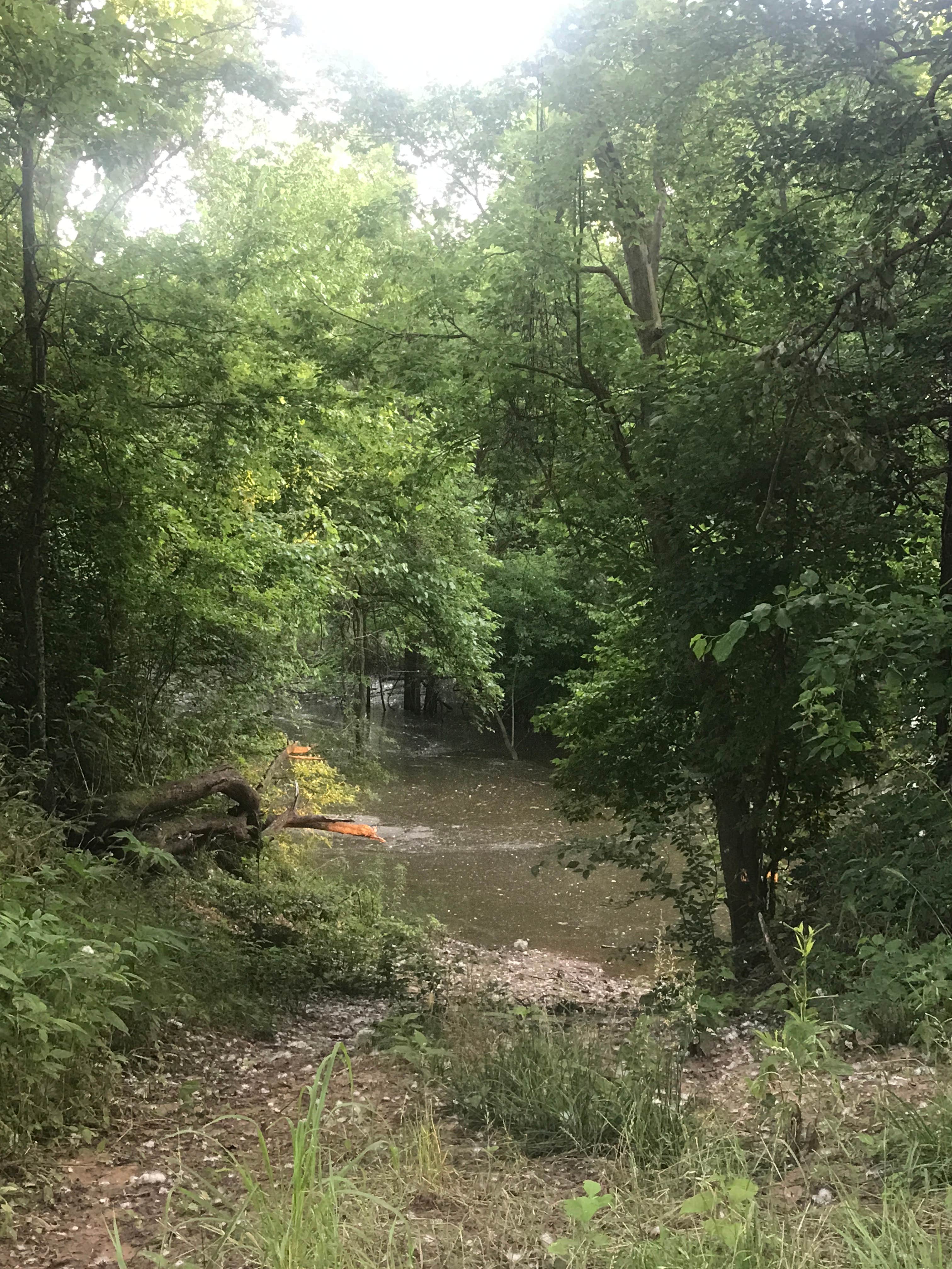 Camper submitted image from Red River Sandbox Camping: Dancing Deer Meadow - CLOSED - 3