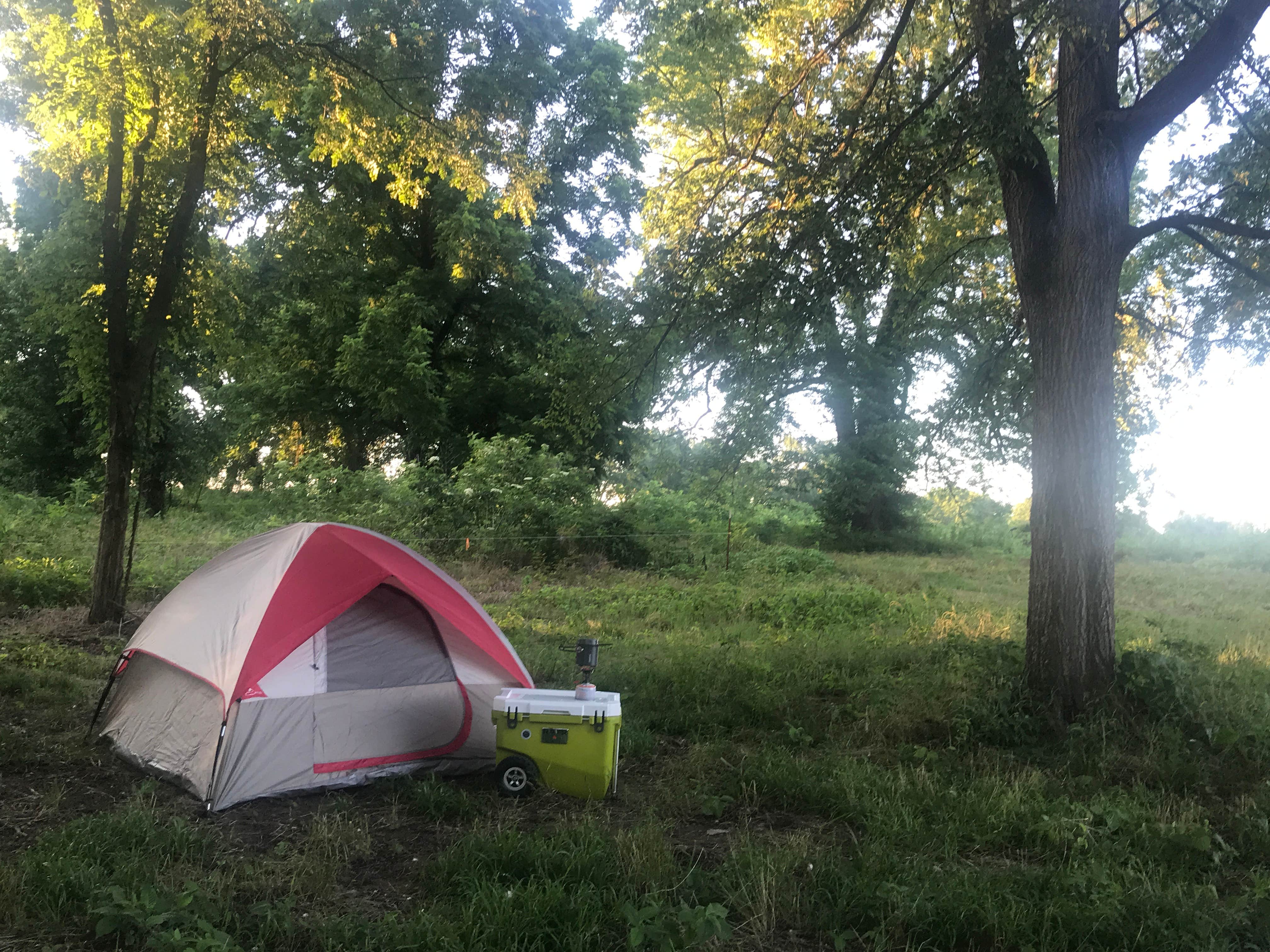 Camper submitted image from Red River Sandbox Camping: Dancing Deer Meadow - CLOSED - 4