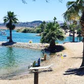 Review photo of Islander RV Resort by Doug C., June 25, 2019
