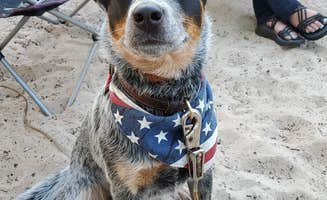 Keith B.'s photo of camping with pets at Mears State Park Campground near Pentwater, MI