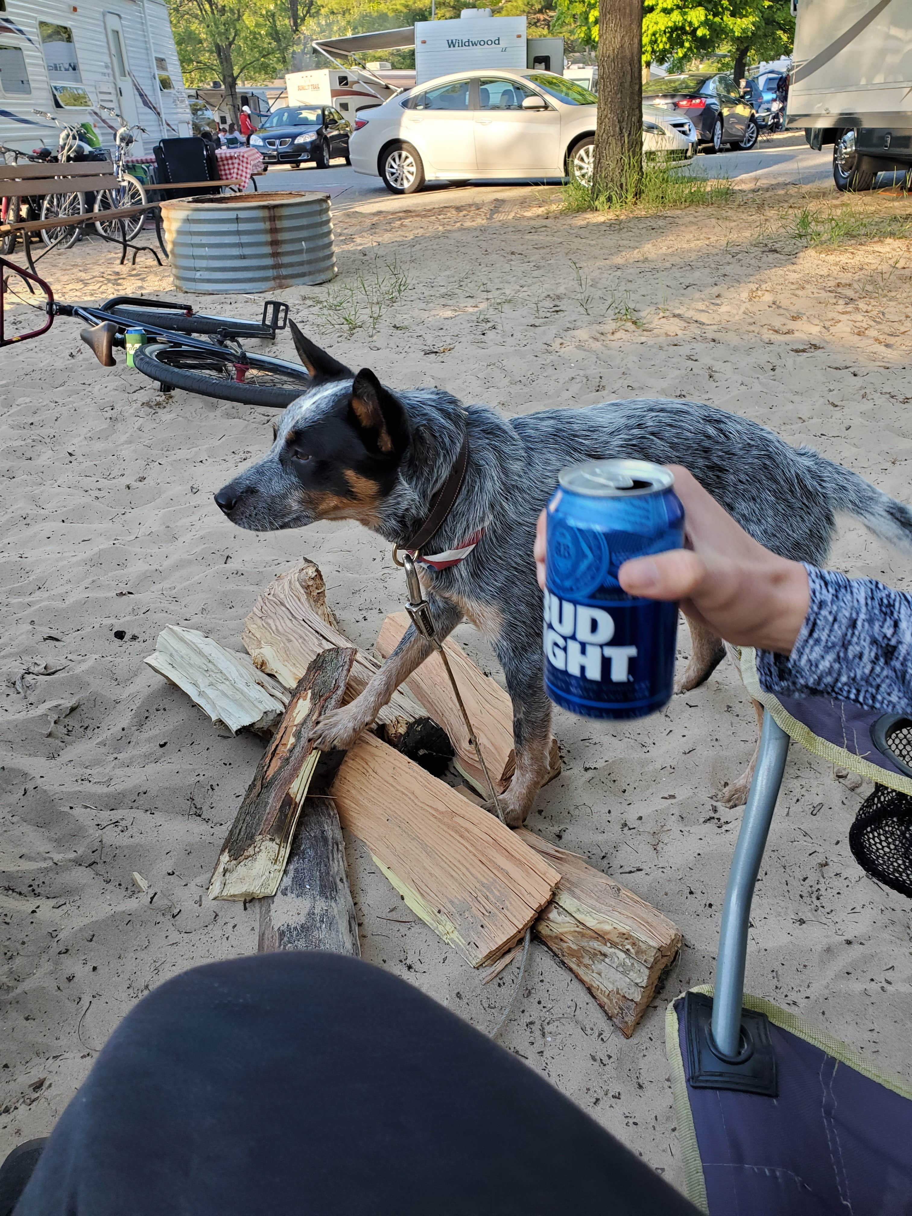 Camper-submitted photo at Mears State Park Campground near Custer, MI