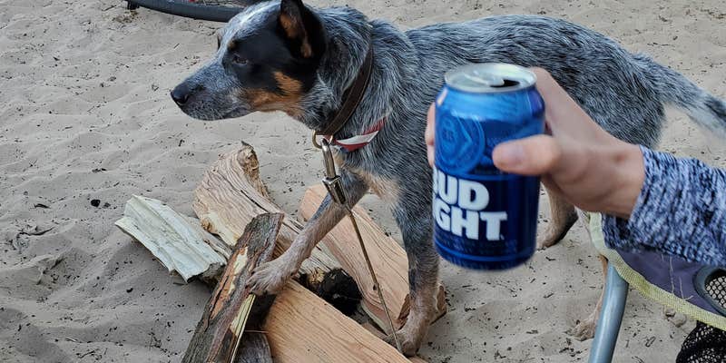 Camper submitted image from Mears State Park Campground