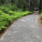 Review photo of Big Bend Group (Yuba River) by Stephen S., June 25, 2019