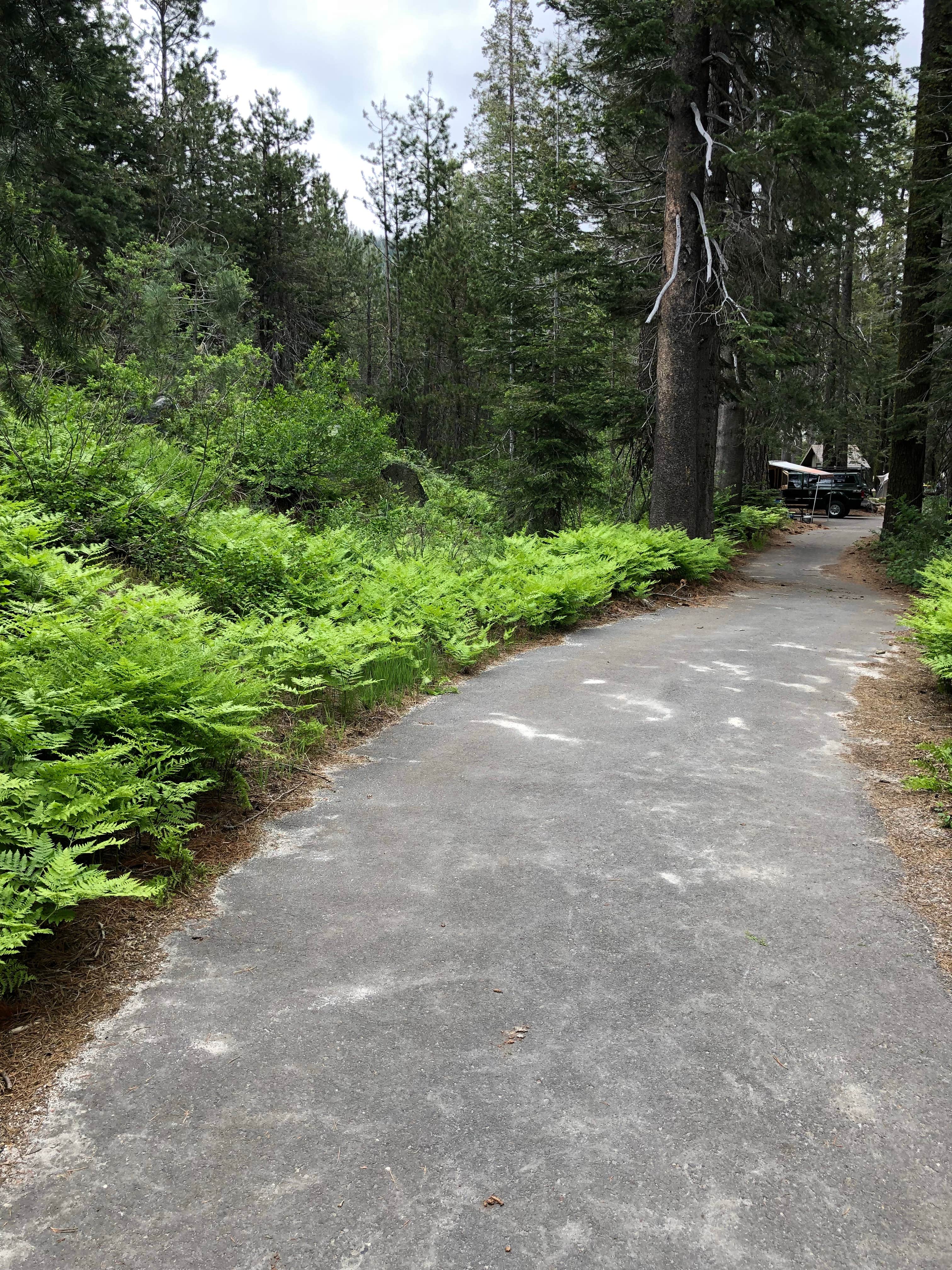 Camper submitted image from Big Bend Group (Yuba River) - 4