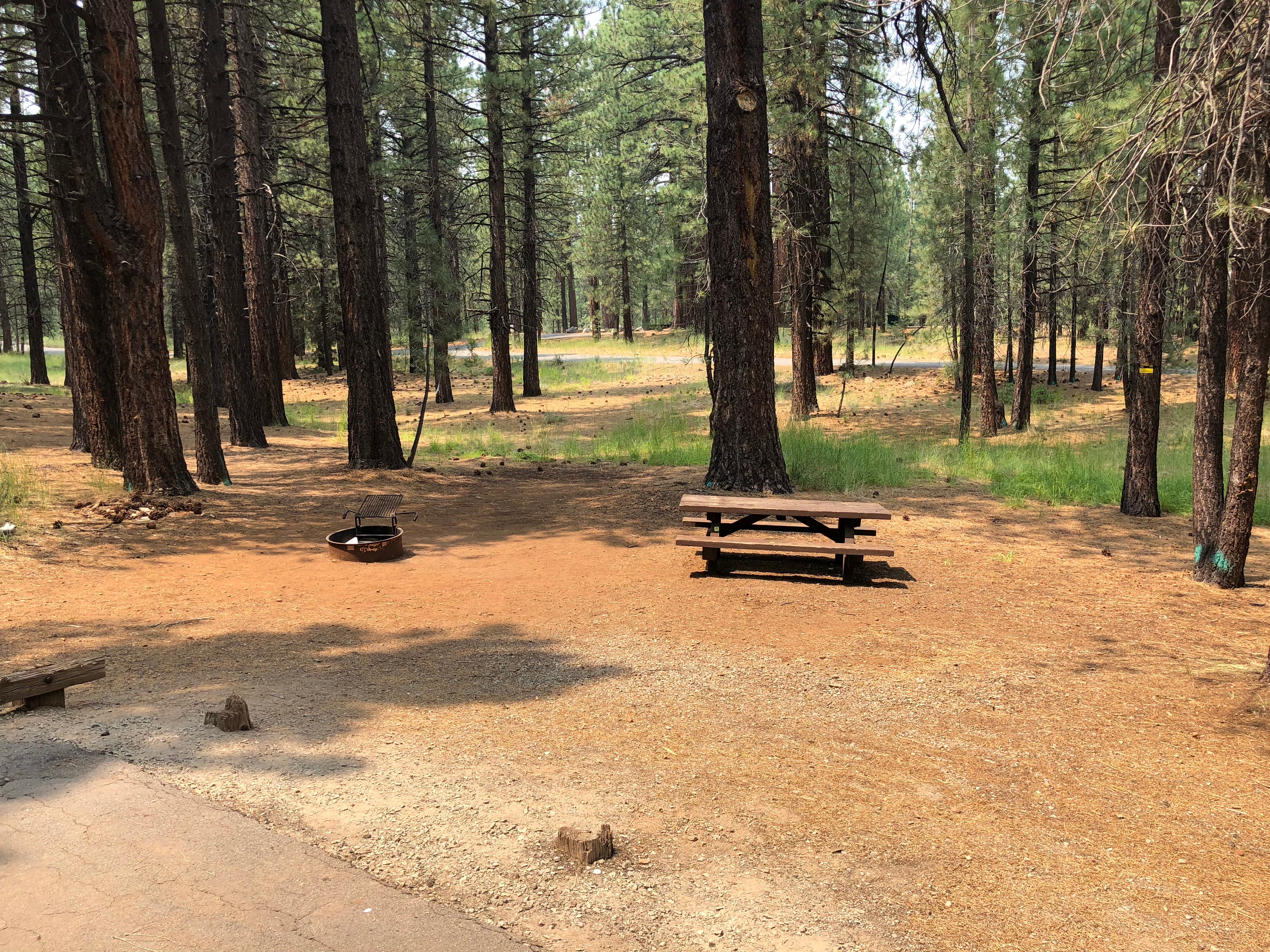 Camper submitted image from Cottonwood Springs Campground - 3
