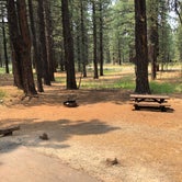 Review photo of Cottonwood Springs Campground by Stephen S., June 25, 2019