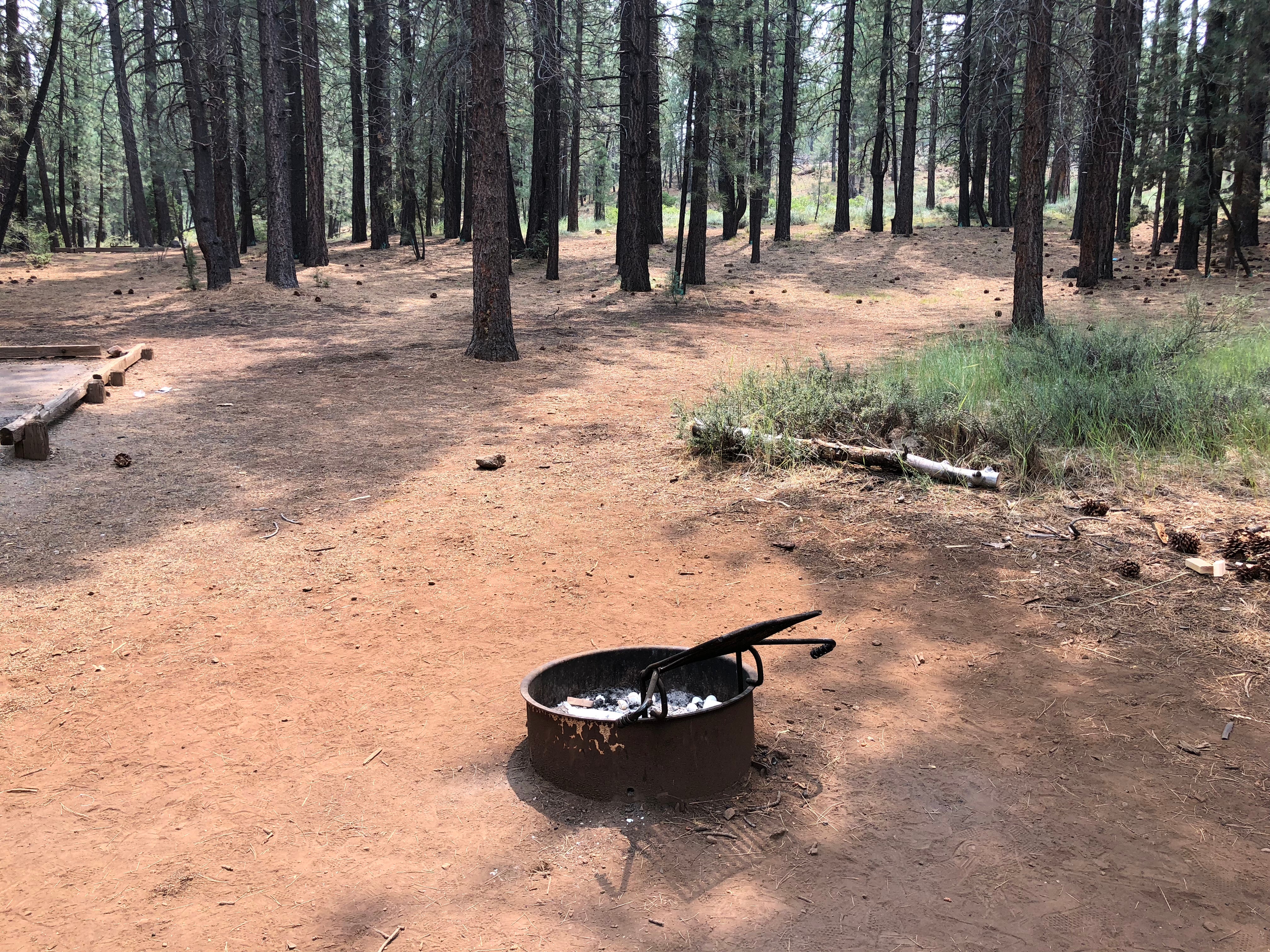 Camper submitted image from Cottonwood Springs Campground - 2