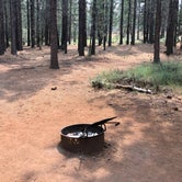 Review photo of Cottonwood Springs Campground by Stephen S., June 25, 2019