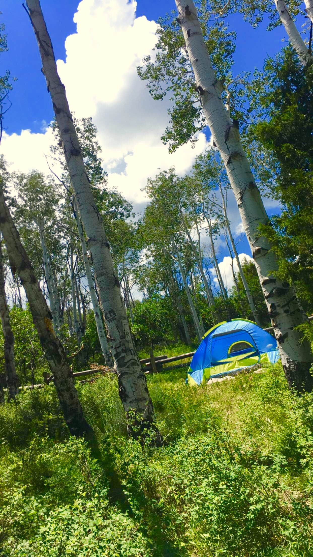 Camper submitted image from Mud Springs Campground - 5