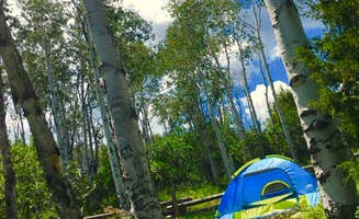 Carlos M.'s photo at Mud Springs Campground near Clifton, CO