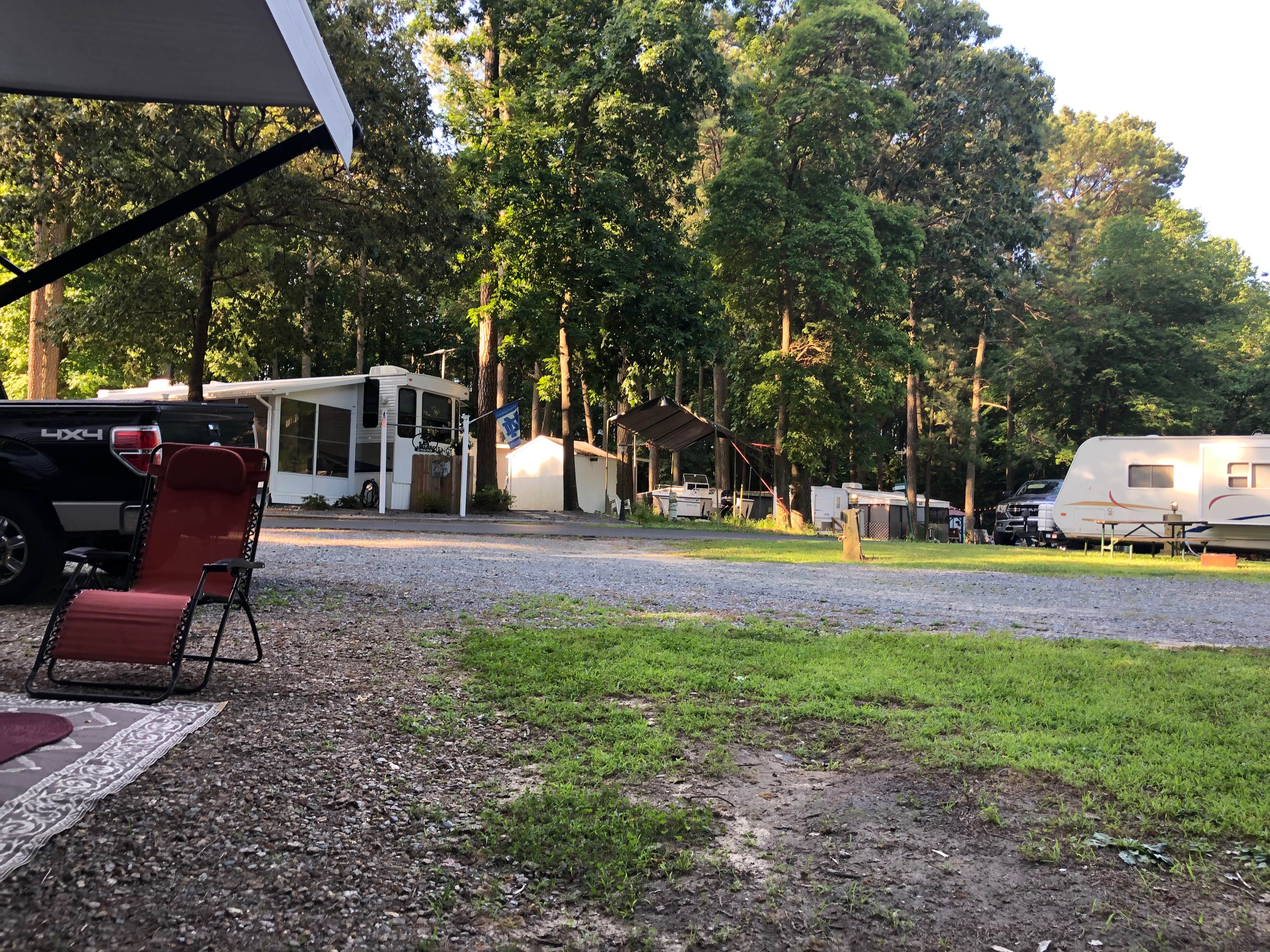 Camper submitted image from Tall Pine Campground - 5