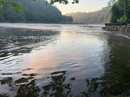 Camper submitted image from New River Canoe and Campground - 4