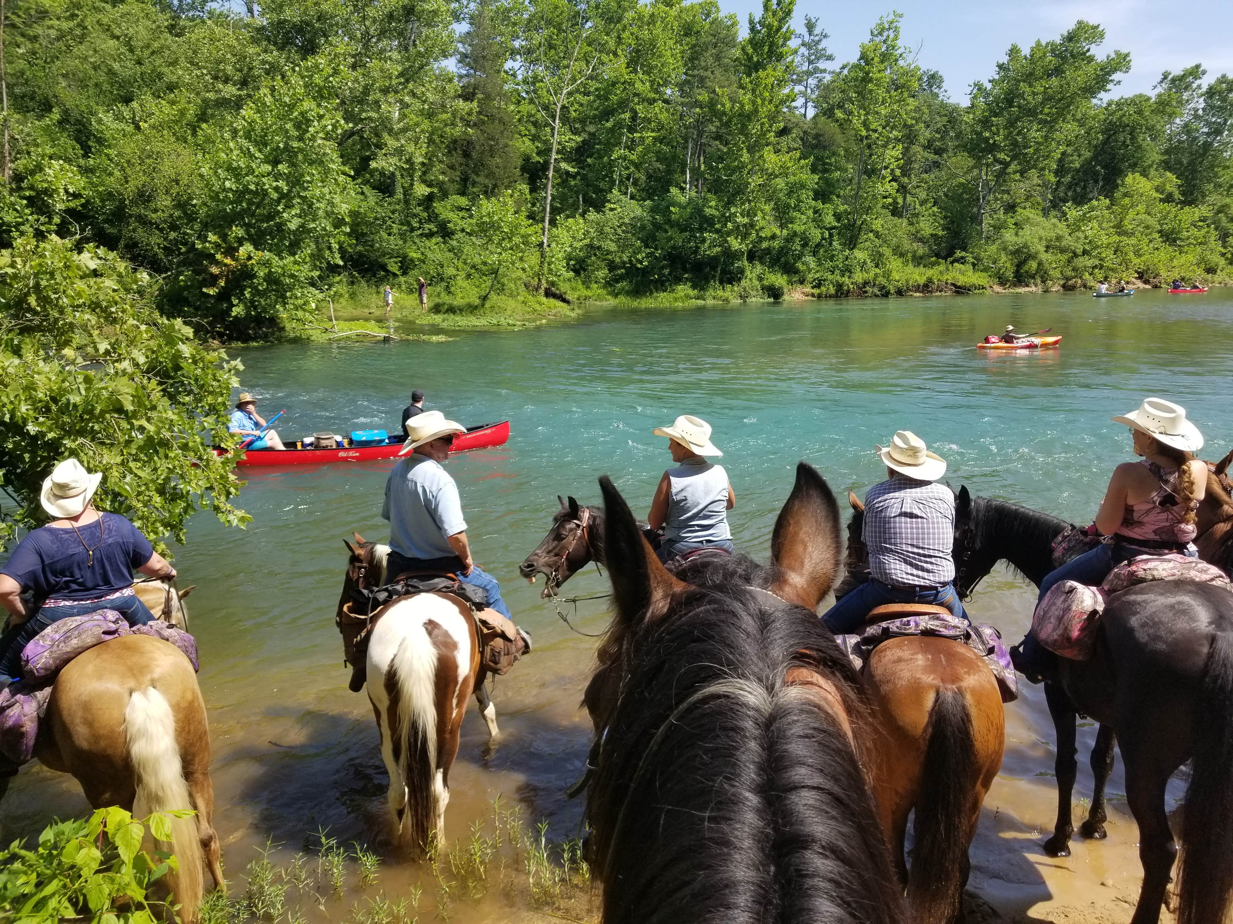 Camper submitted image from Pinecrest Campground and Cabins - 1