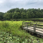 Review photo of Pocahontas State Park Campground by Katie M., June 25, 2019