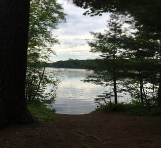 Camper-submitted photo from M44 Big Dick Lake
