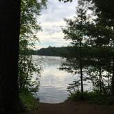 Review photo of M44 Big Dick Lake by Matt T., June 25, 2019