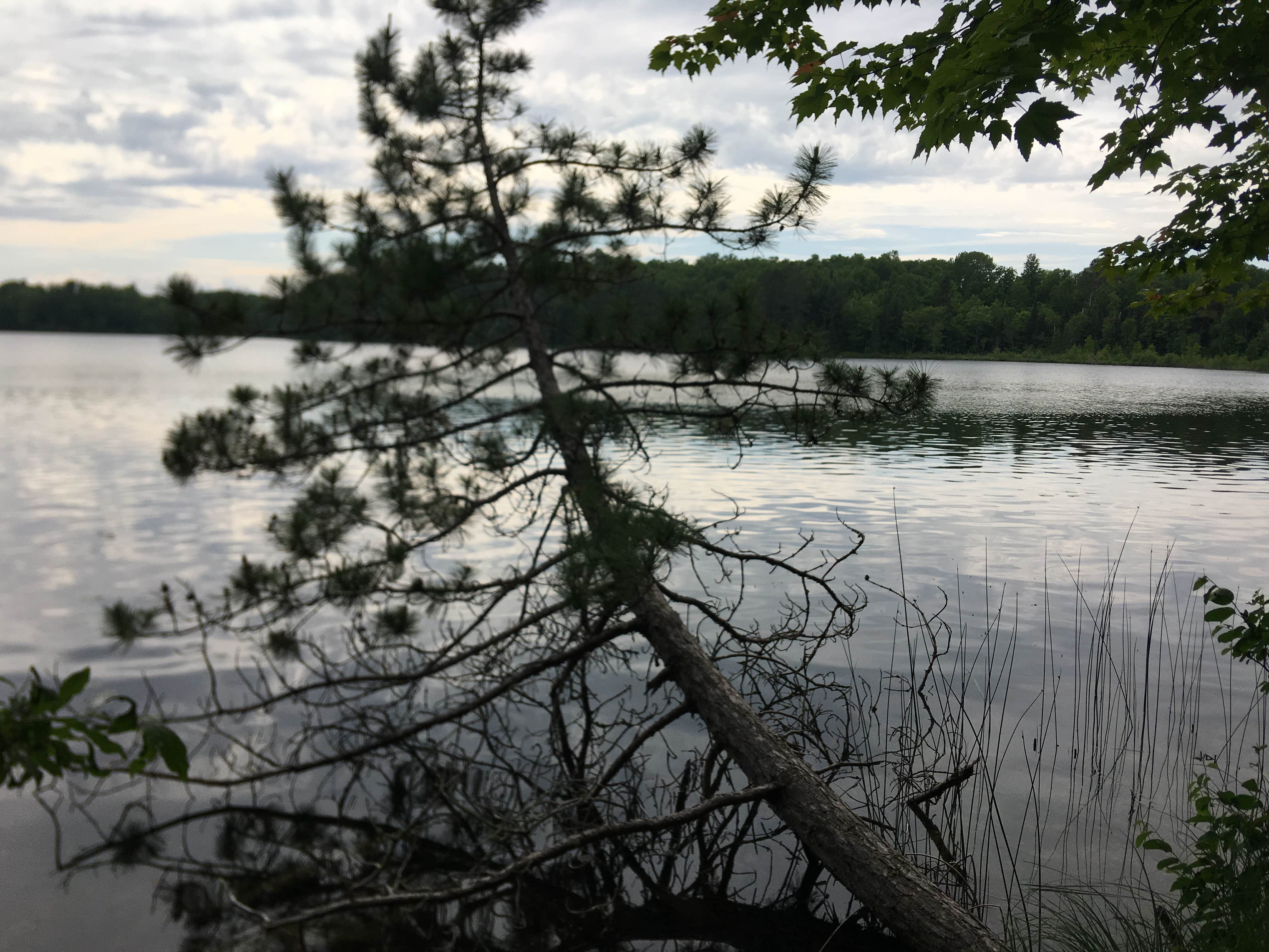 Camper-submitted photo at M44 Big Dick Lake near Bovey, MN