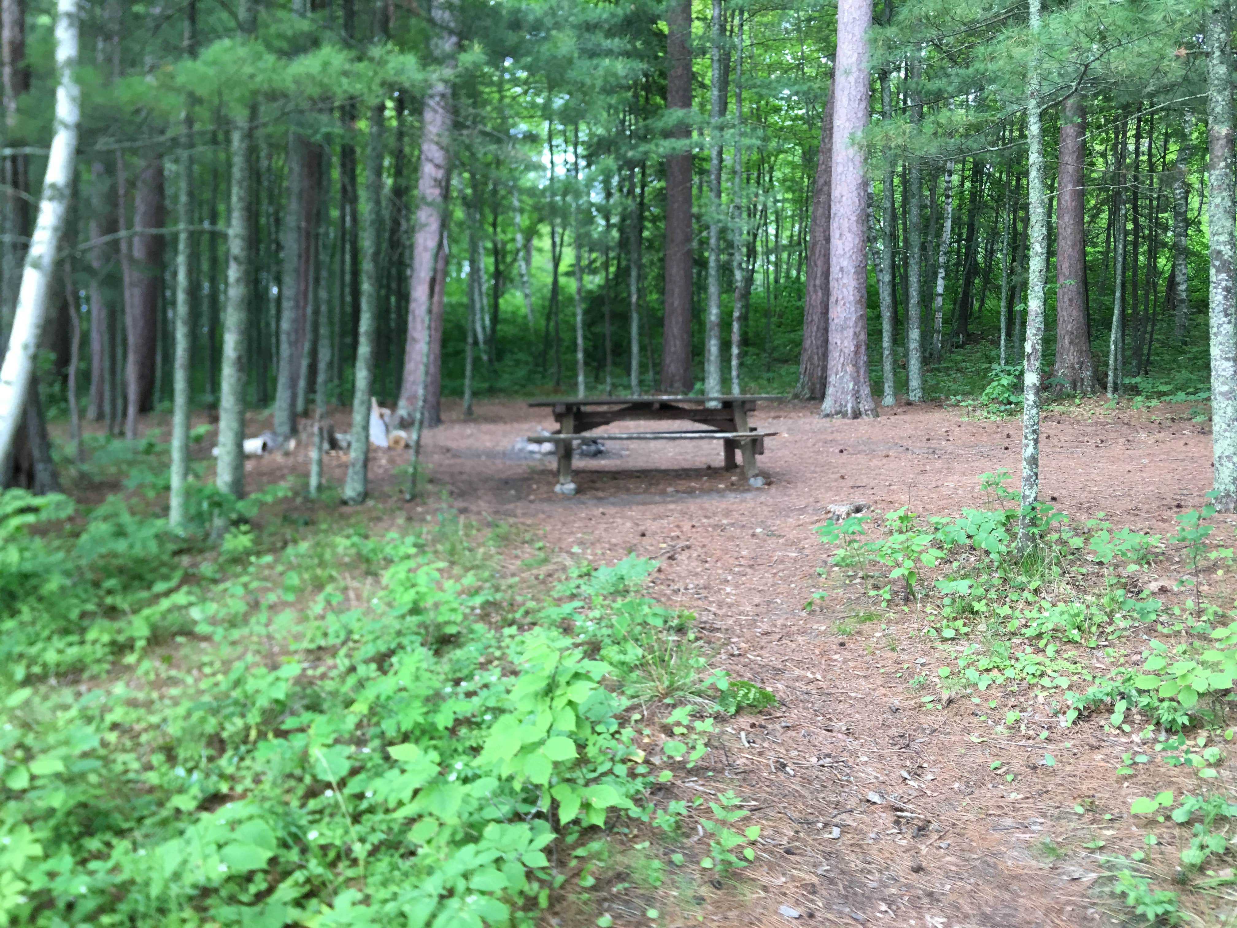 Camper-submitted photo at M44 Big Dick Lake near Bovey, MN
