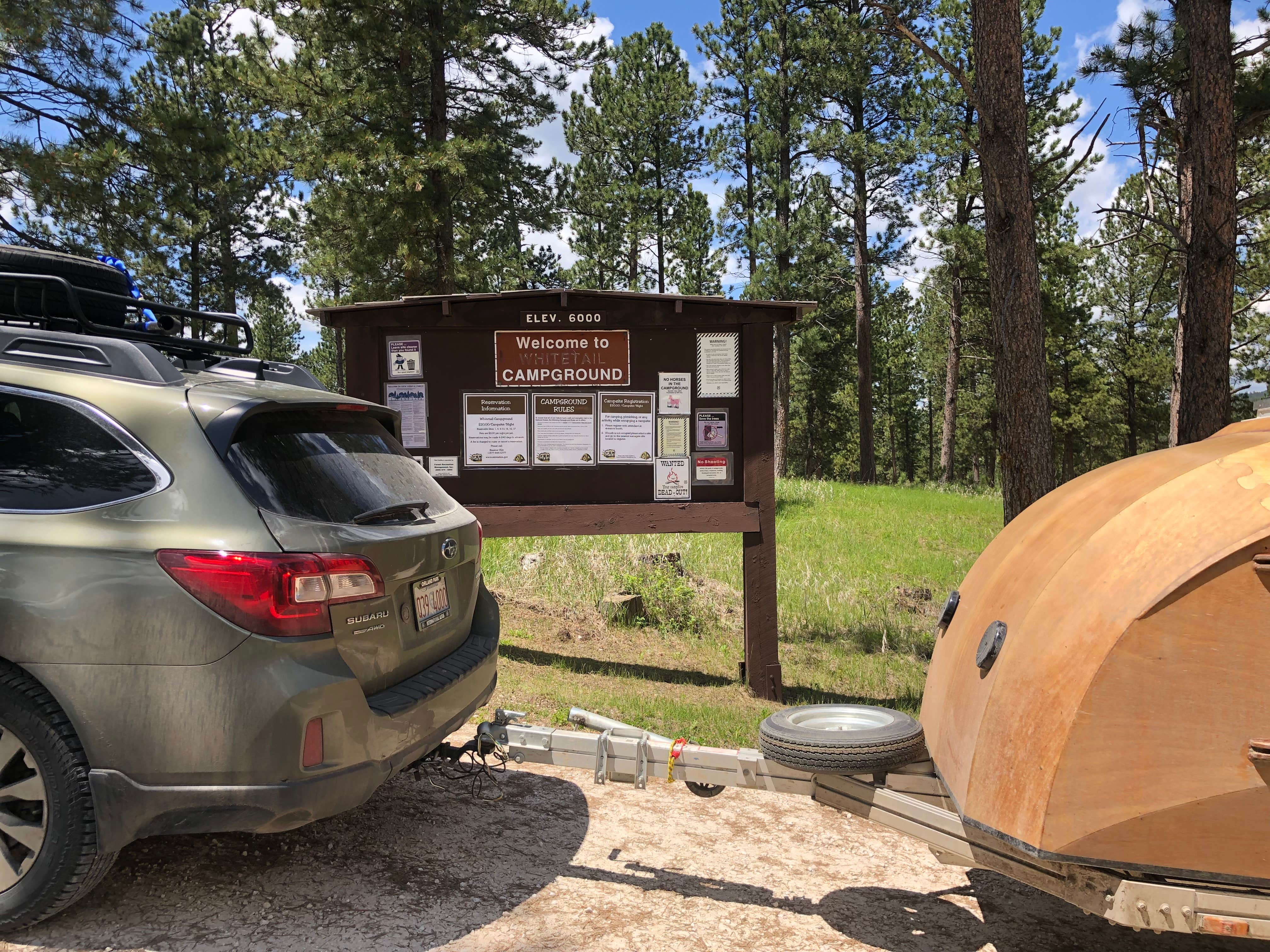 Camper submitted image from Whitetail - 4