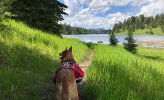 Art S.'s photo of camping with pets at Whitetail near Black Hills National Forest