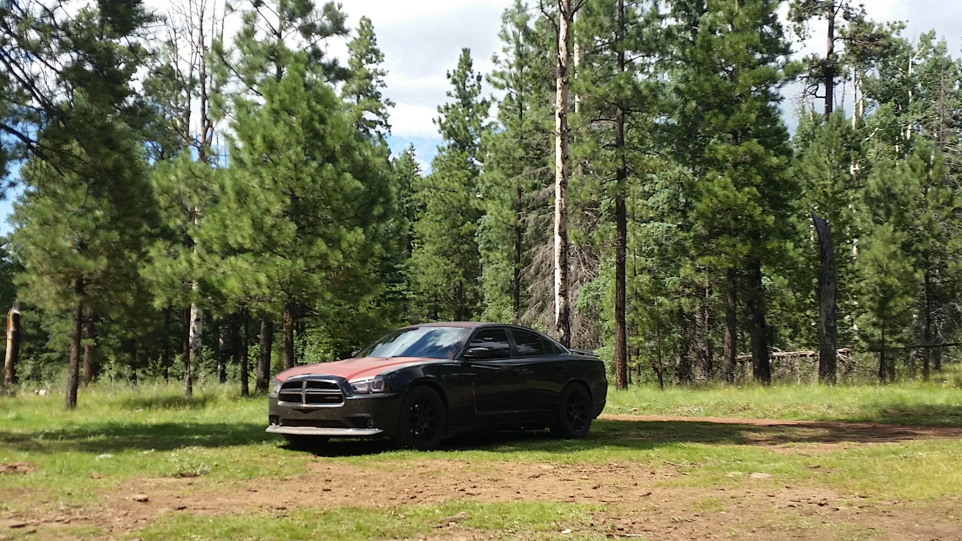 Camper submitted image from Rainbow (AZ) - 2