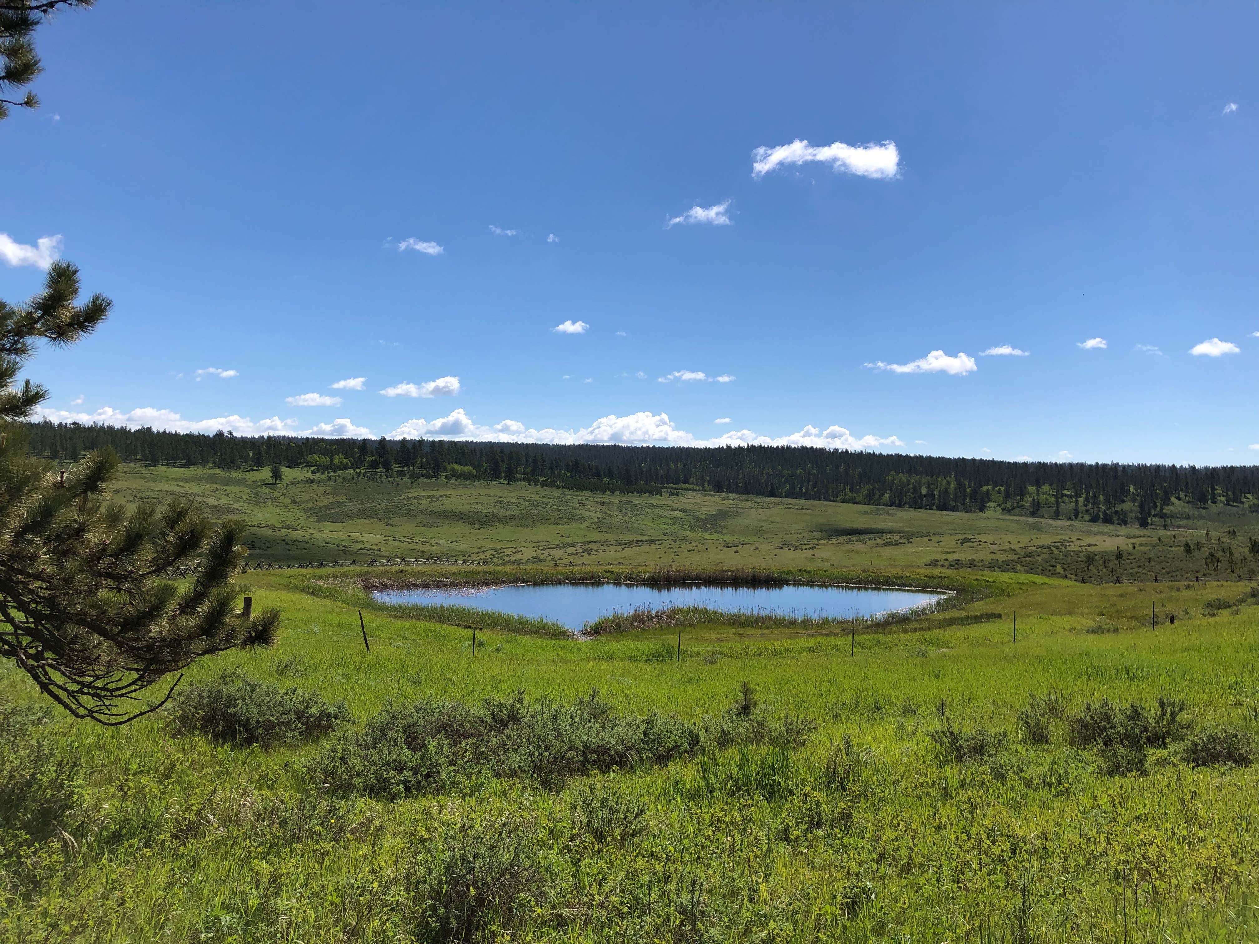Camper-submitted photo at Redbank Spring Campground near Newcastle, WY