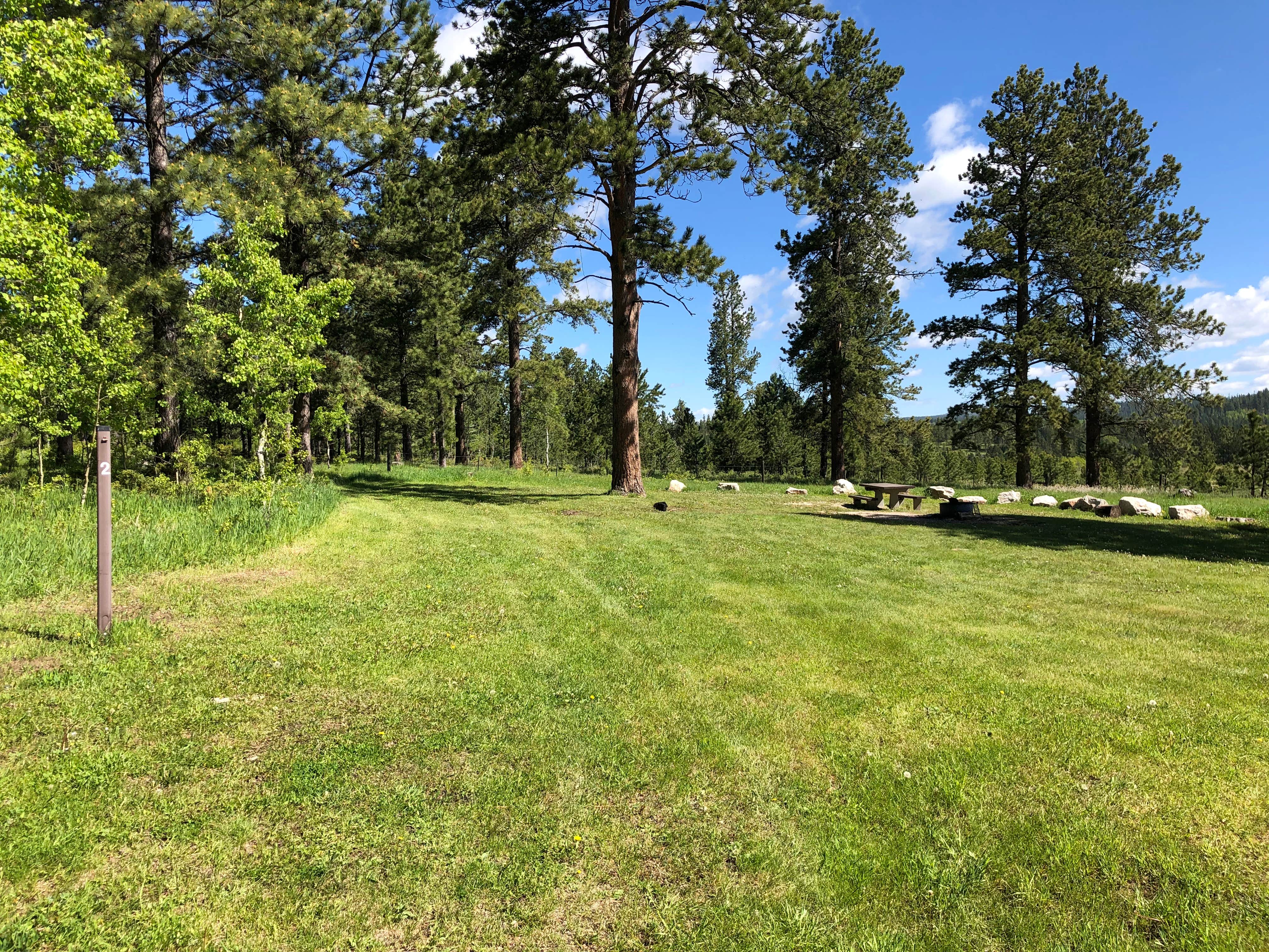 Camper-submitted photo at Redbank Spring Campground near Newcastle, WY
