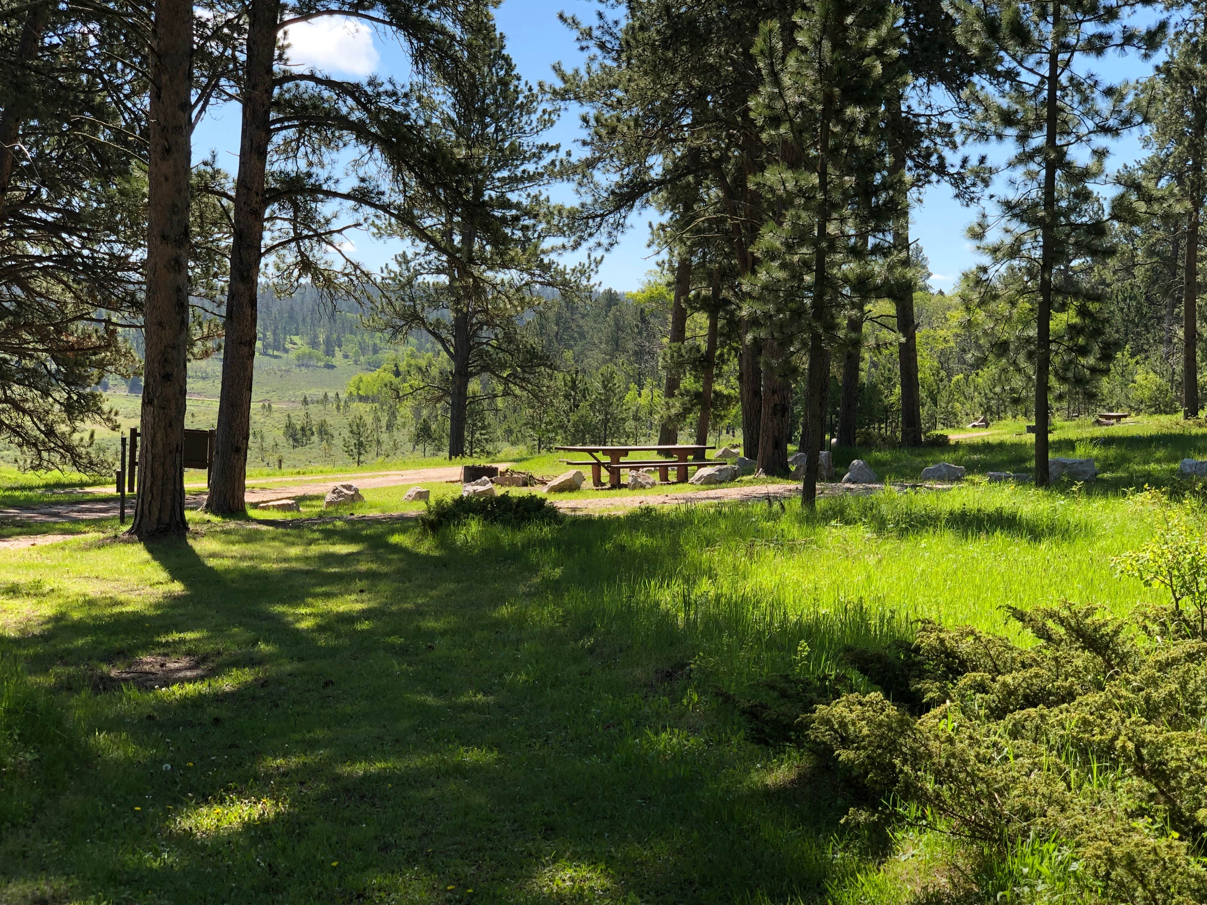 Camper-submitted photo at Redbank Spring Campground near Newcastle, WY