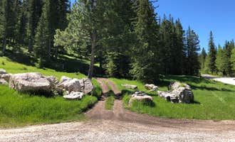 Camping near Whitetail Campground: Ditch Creek, Black Hills National Forest, South Dakota