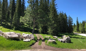 Camping near Mt Meadow Store and Campground: Ditch Creek, Black Hills National Forest, South Dakota