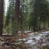 Review photo of Tuolumne Meadows Campground — Yosemite National Park by DEREK B., August 31, 2015