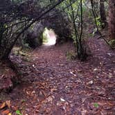 Review photo of Sutton Campground by Randi G., June 25, 2019