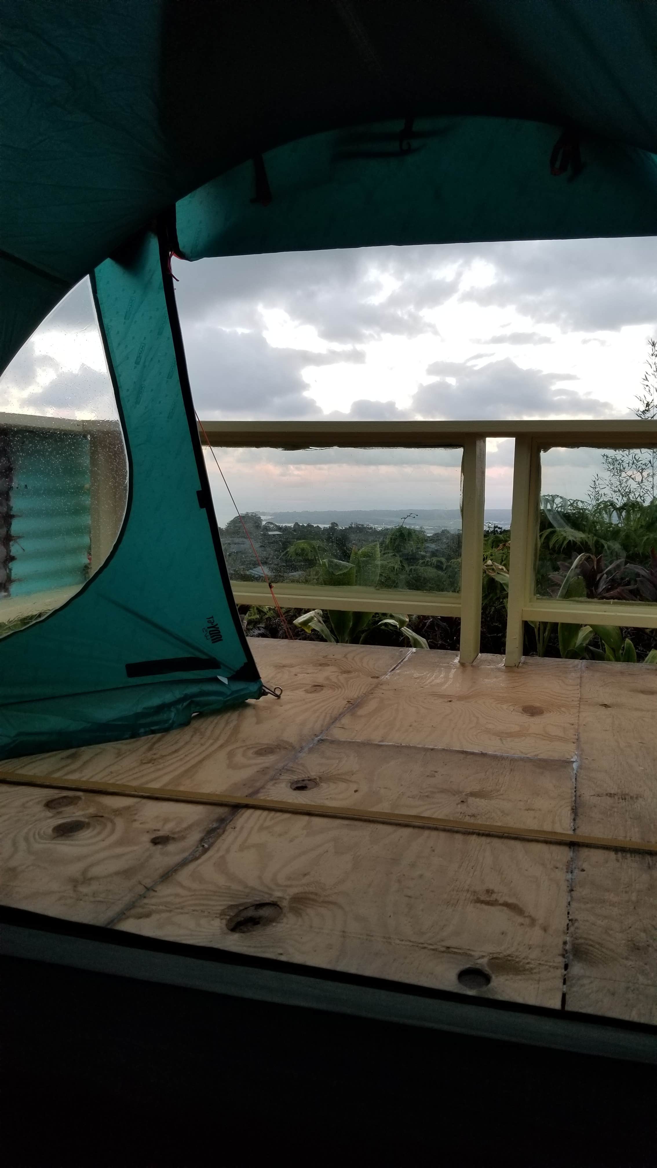View All