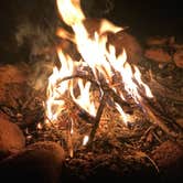 Review photo of Goose Creek Campground by Steven L., June 25, 2019