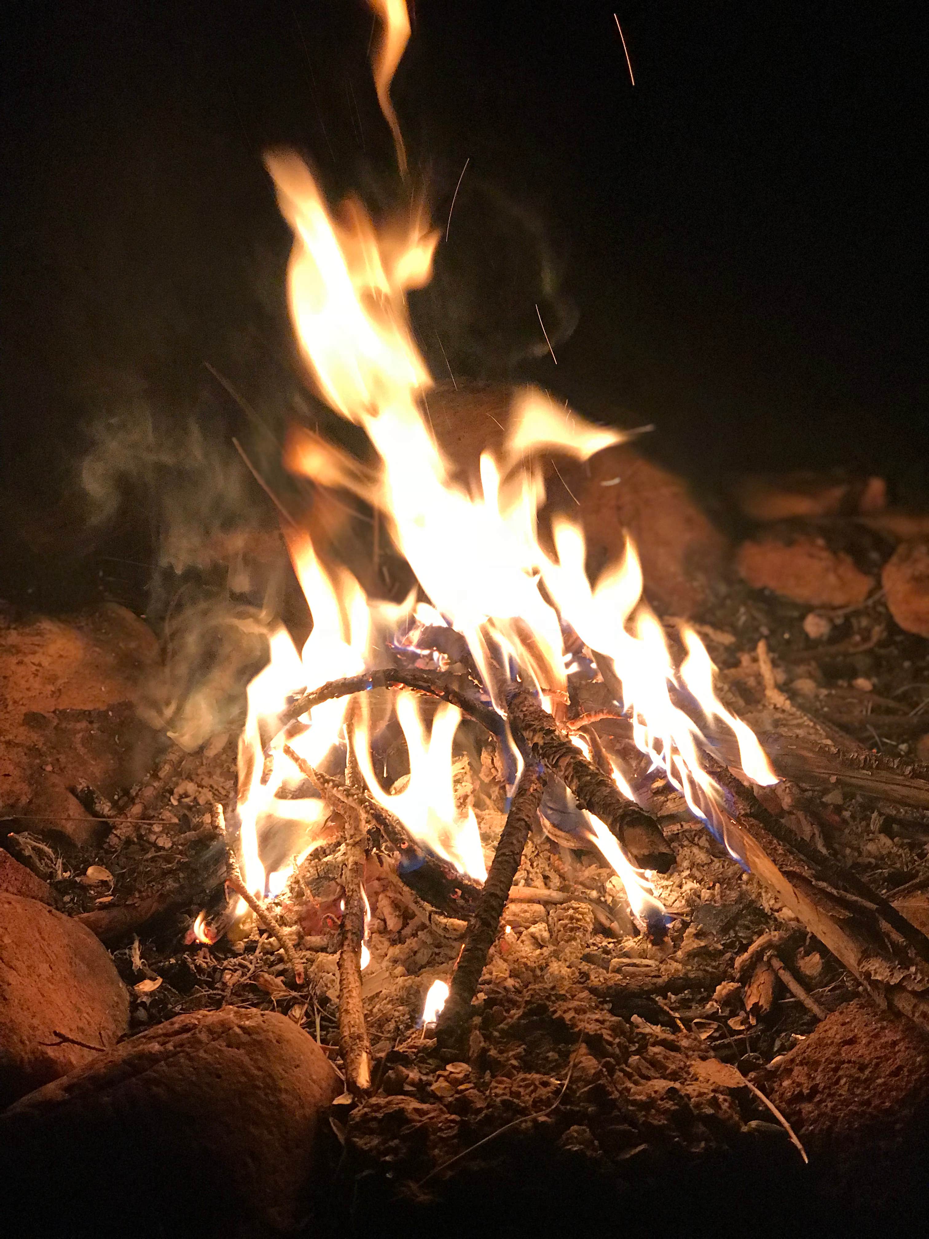 Camper submitted image from Goose Creek Campground - 3