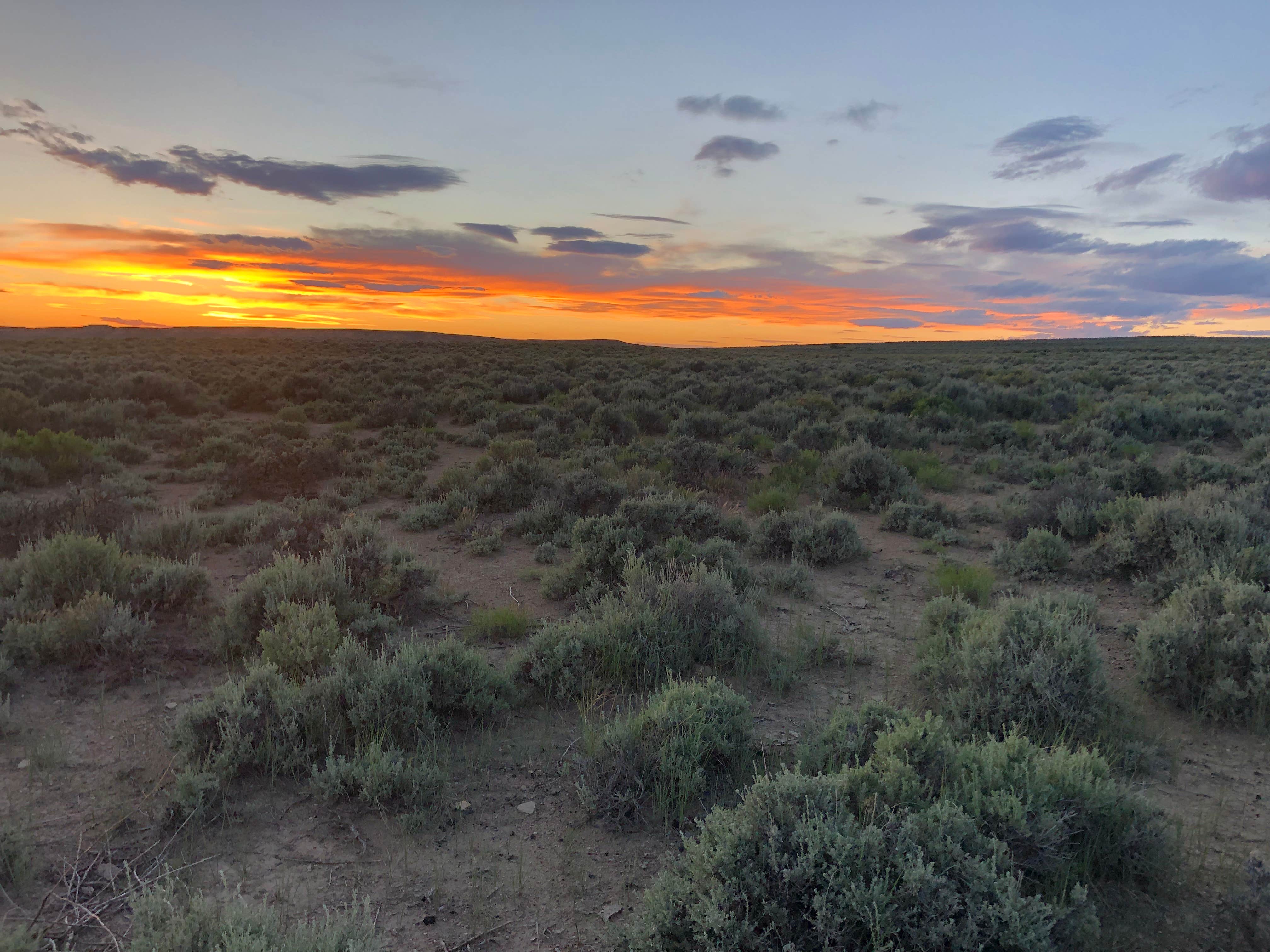 Camper submitted image from Buckboard Crossing - 2