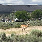 Review photo of Buckboard Crossing by Derek S., June 25, 2019