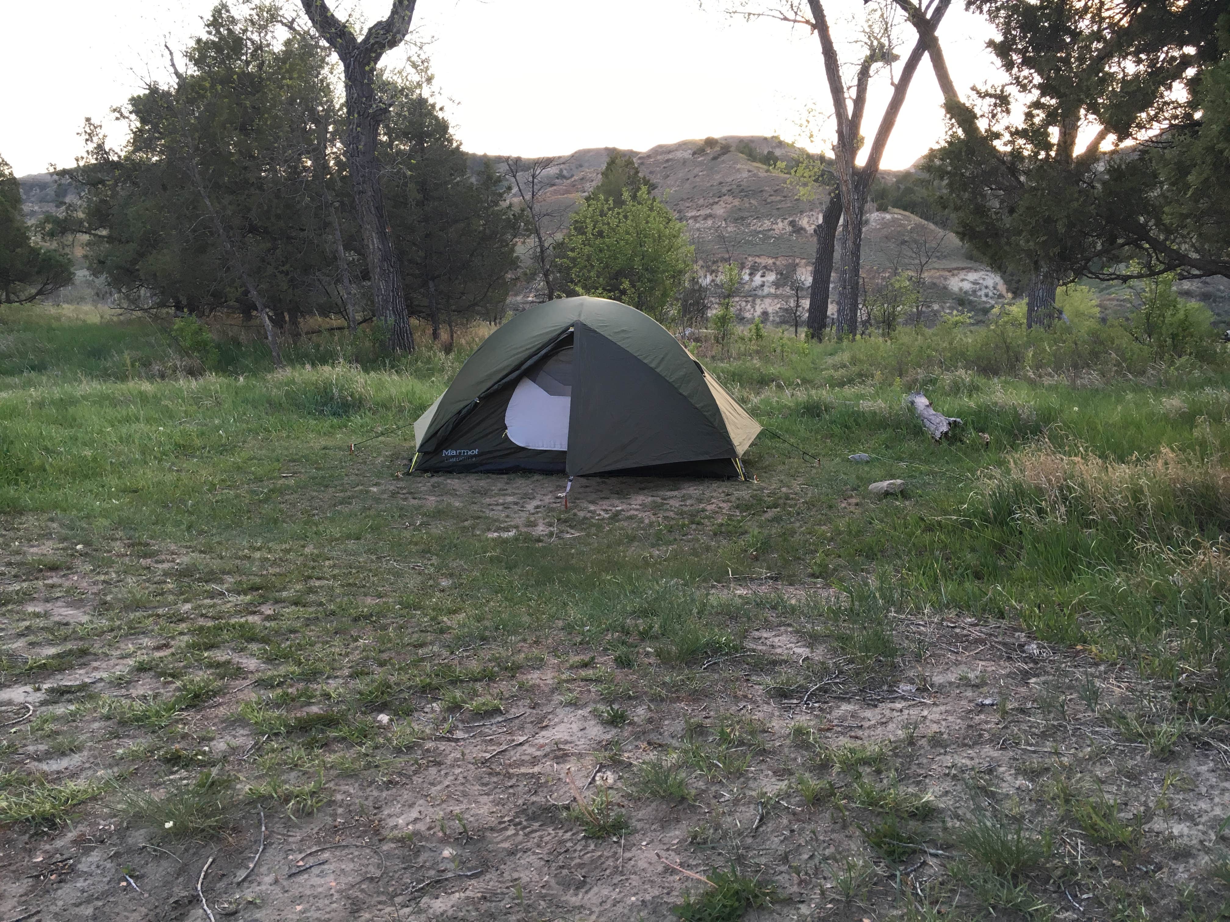 Camper submitted image from Cottonwood Campground — Theodore Roosevelt National Park - 4
