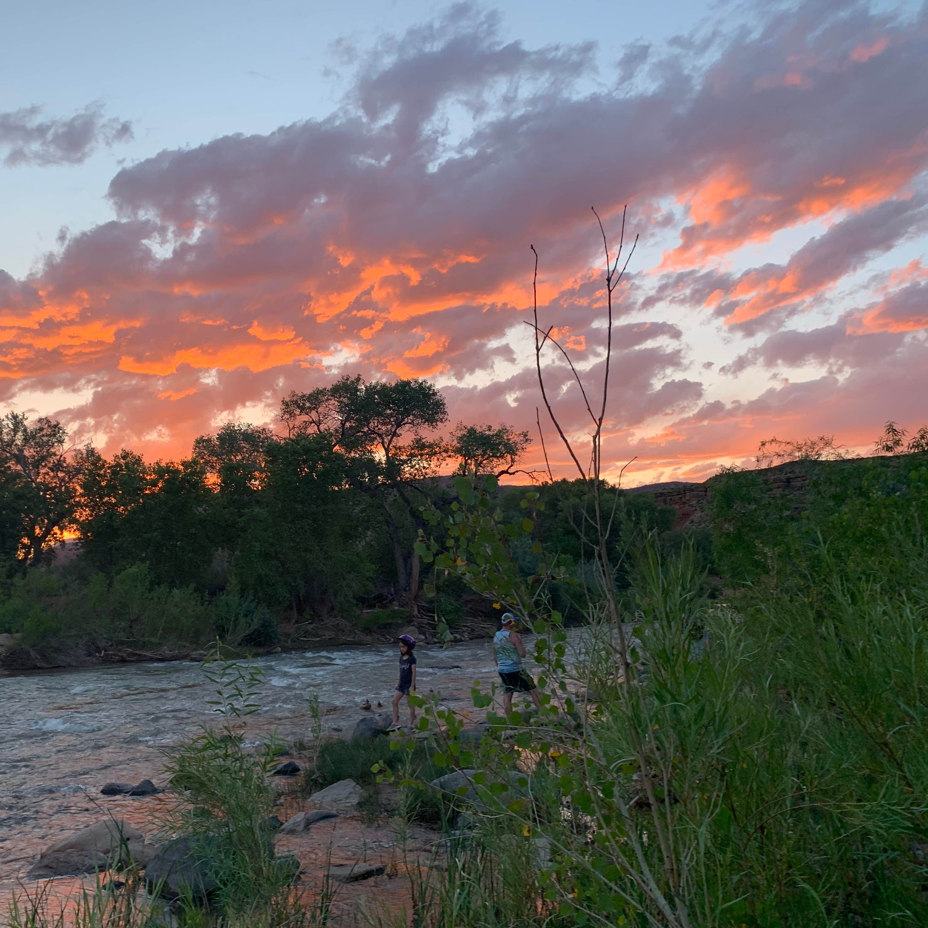 Zion River Resort