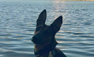 Abby F.'s photo of camping with pets at Rainbow Bay at Lake of the Woods near Tulelake, CA