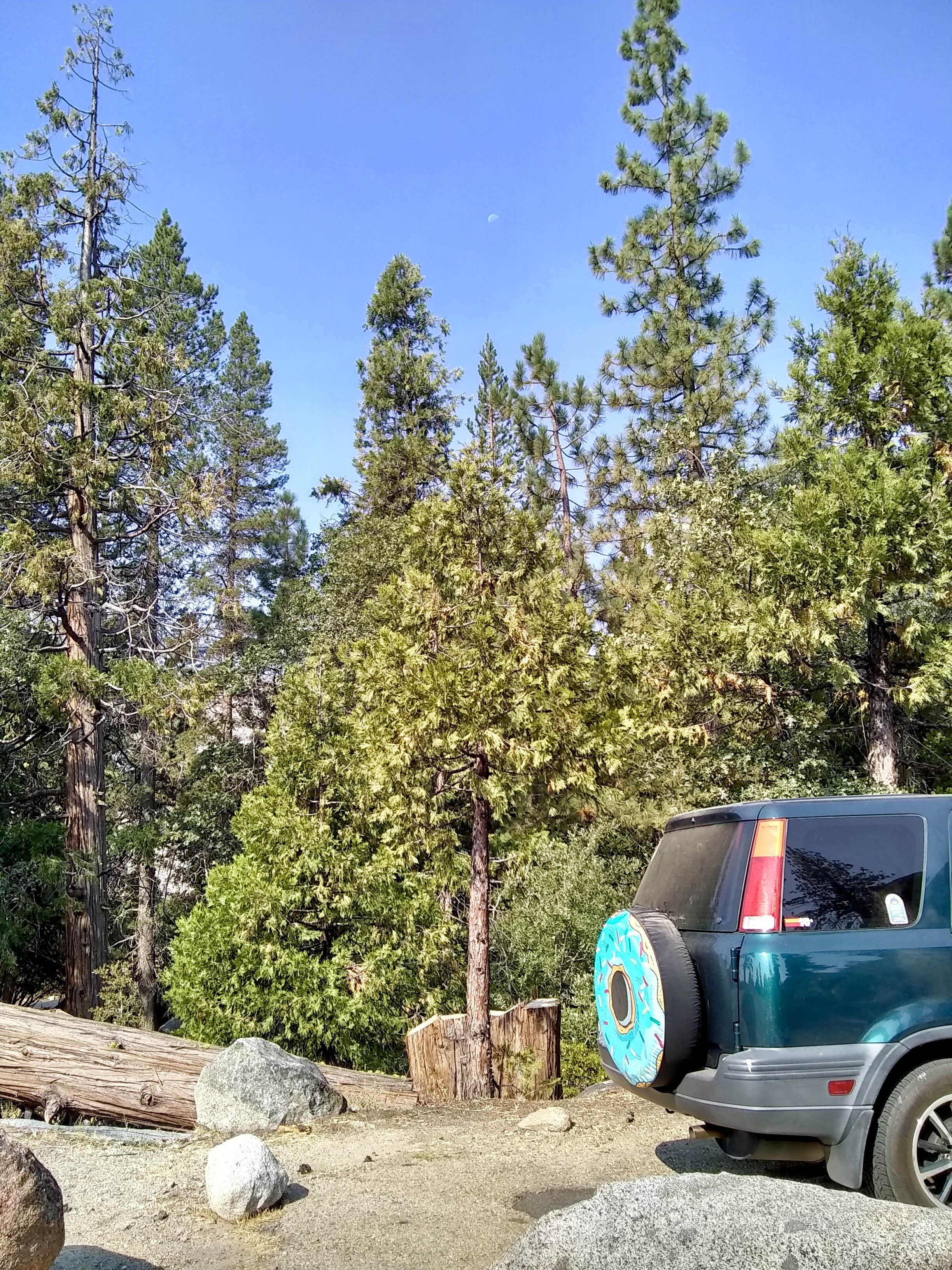 Camping near Wishon Village RV Resort: Lily Pad Campground, Sierra National Forest, California