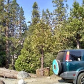 Review photo of Lily Pad Campground by Patrick H., June 25, 2019