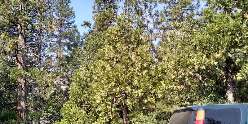 Camper submitted image from Lily Pad Campground