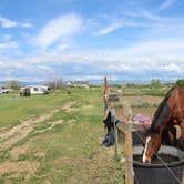 Review photo of M & M Equestrian Center by Bounding Around , June 26, 2019
