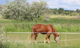 Camping near St. Vrain State Park Campground: M & M Equestrian Center, Erie, Colorado