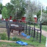 Review photo of M & M Equestrian Center by Bounding Around , June 26, 2019