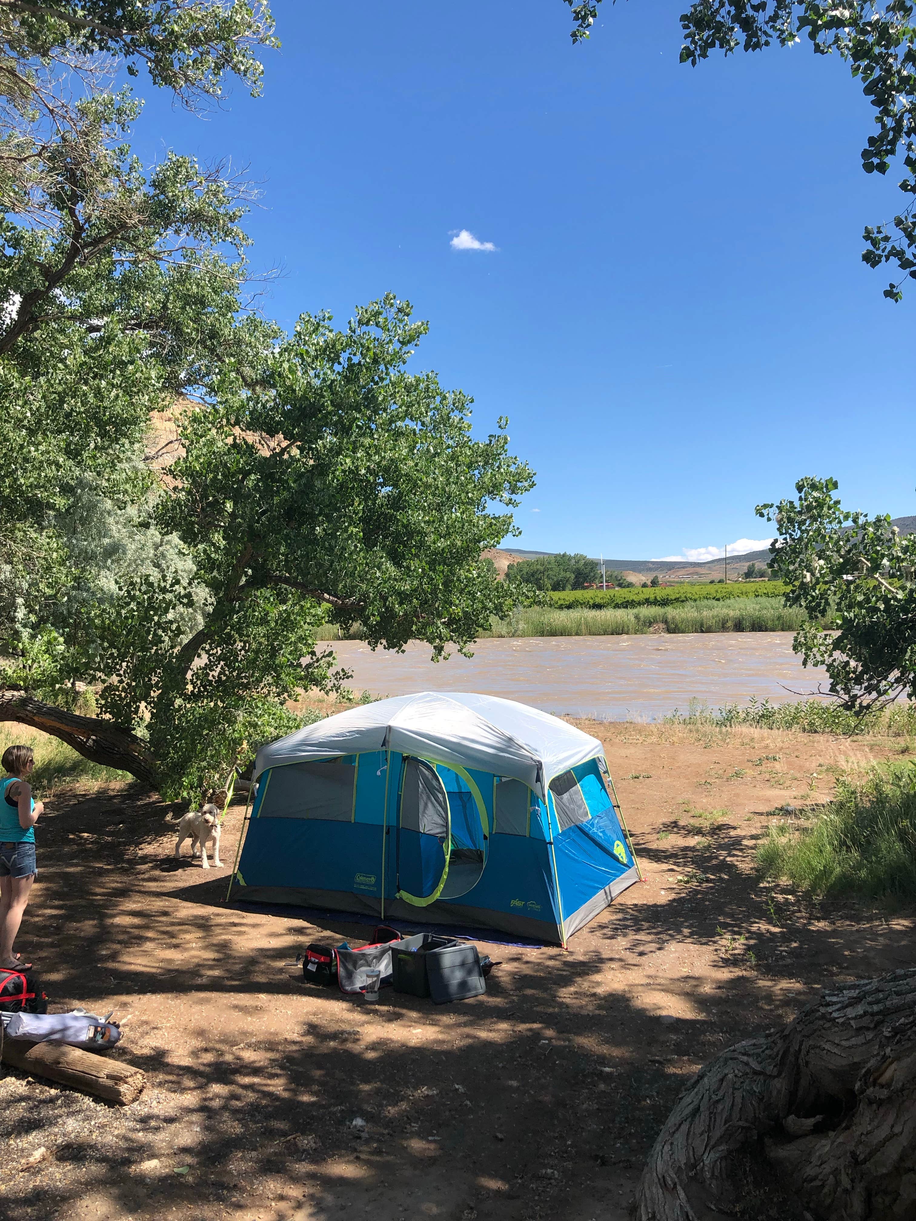 Matt O.'s photo at Palisade Basecamp RV Resort near Clifton, CO