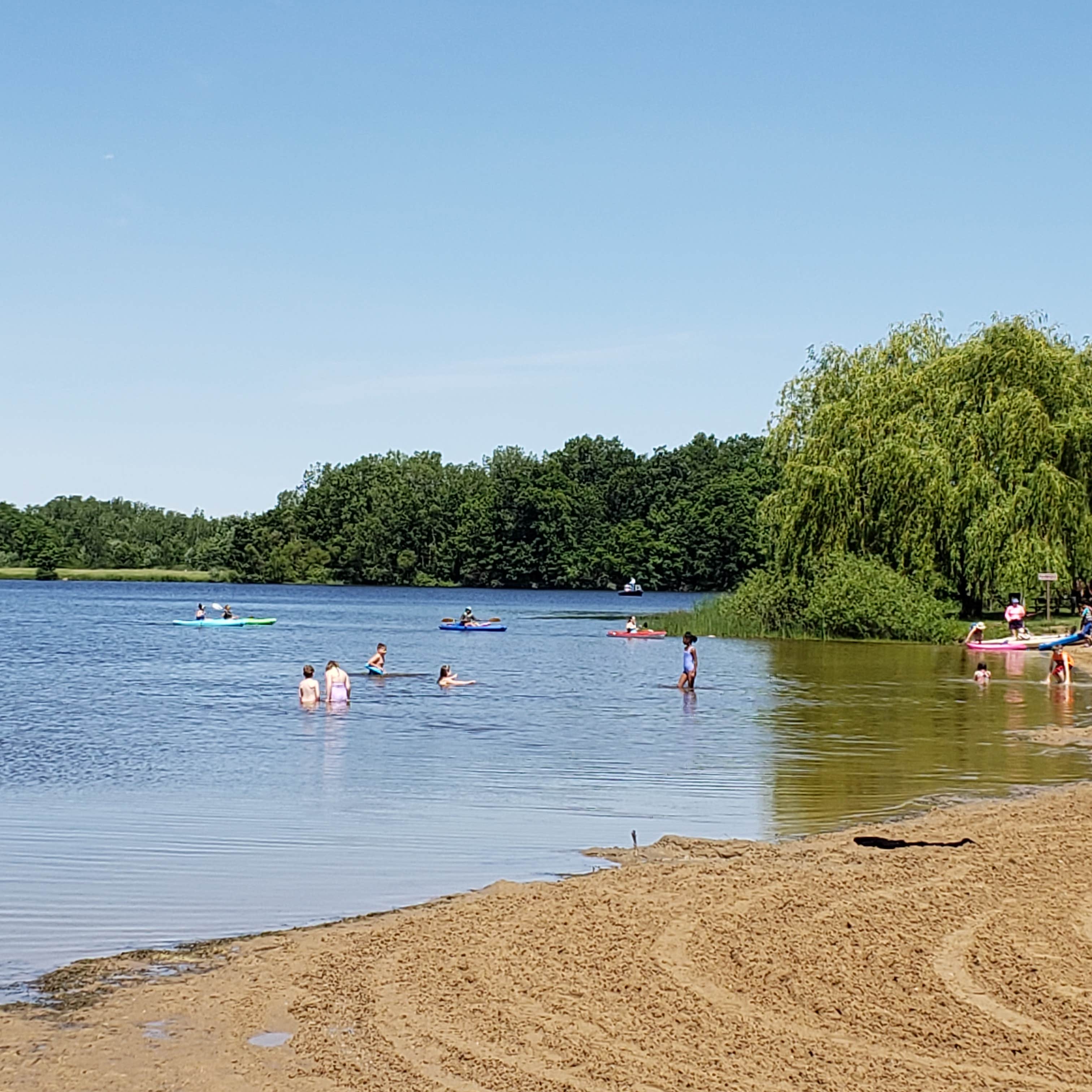 Beach Area