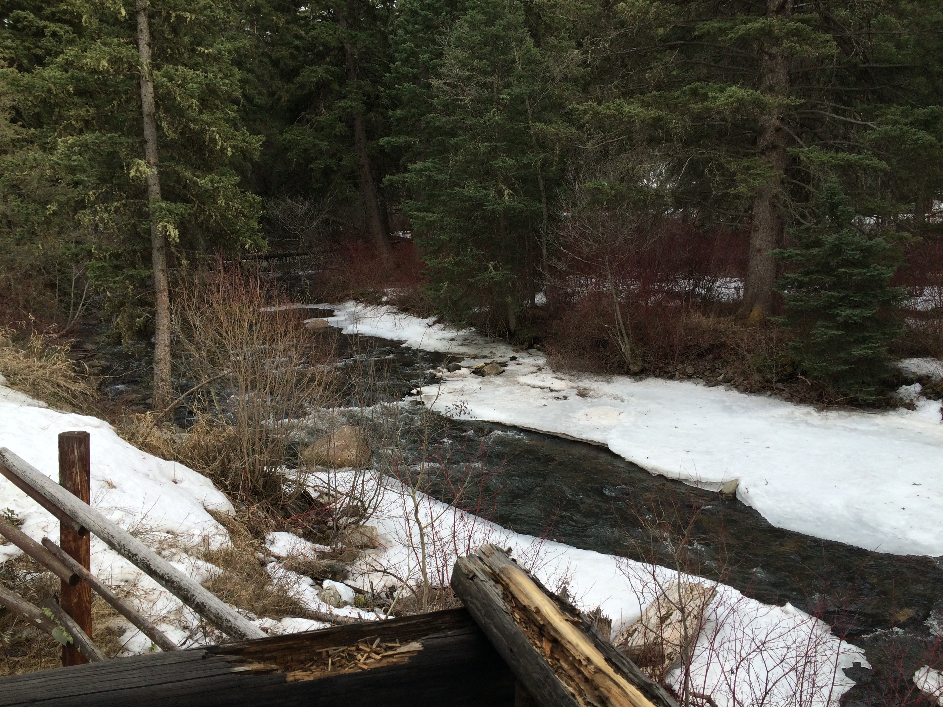 Camper submitted image from Mill Creek Cabin - 4